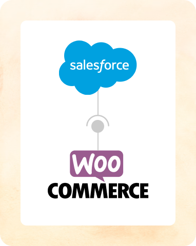 Salesforce and WooCommerce Integration